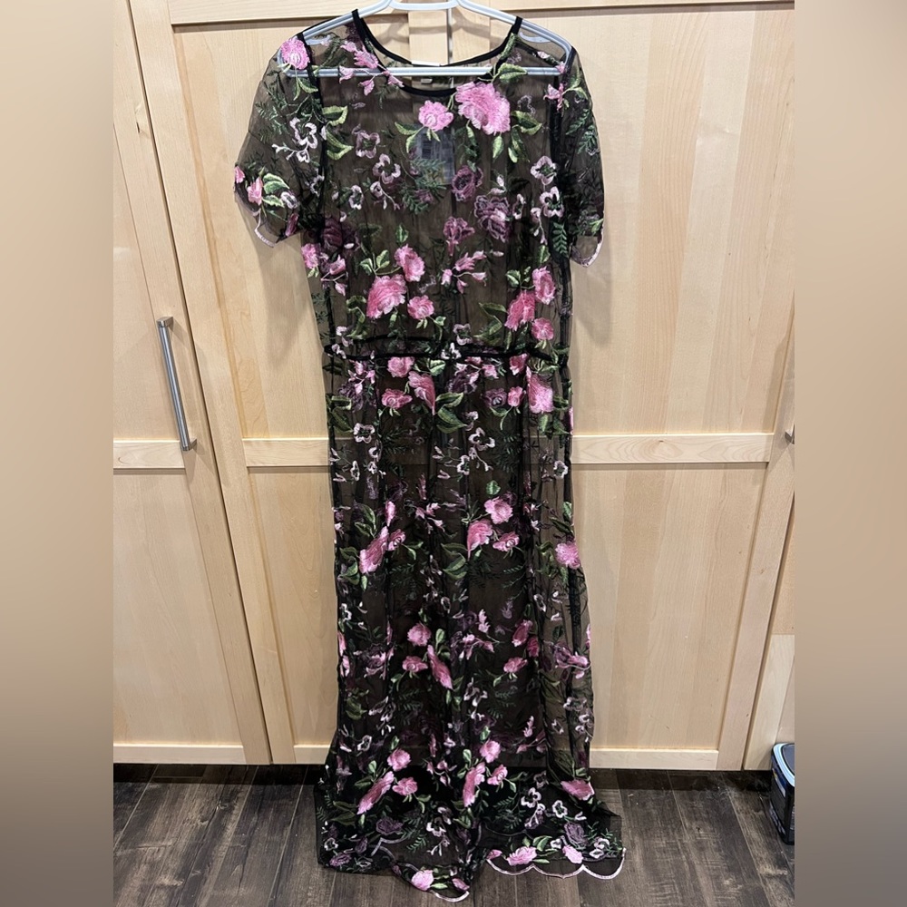 Beautiful Sheer Overlay Dress
